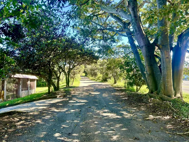 VENTA DE LOTE USO MIXTO, HEREDIA, SANTO DOMINGO, SAN MIGUEL en San Miguel, Santo Domingo, Heredia — ₡ 120 000 000