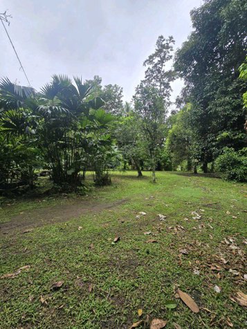 LOTE EN HOME CREEK, LIMON. en Cahuita, Talamanca, Limón — $128,000 - Foto 3 de 8