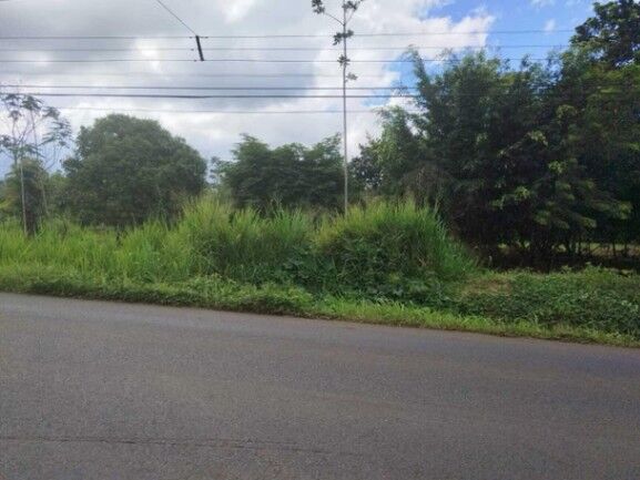 MLS-25-1043 VENTA LOTE LA TIGRA SAN CARLOS en La Tigra, San Carlos, Alajuela — ₡ 12 500 000