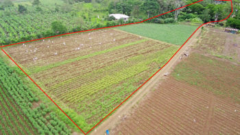 Propiedad para inversión en La Fortuna in La Fortuna, San Carlos, Alajuela — $450,000 - Photo 4 of 29