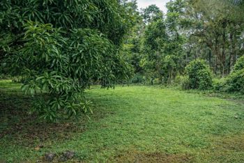 Venta de Lote PLANO en San Carlos-La Fortuna. RAH 27-935 en La Fortuna, San Carlos, Alajuela — 17 000 000 ₡ - Foto 2 de 8