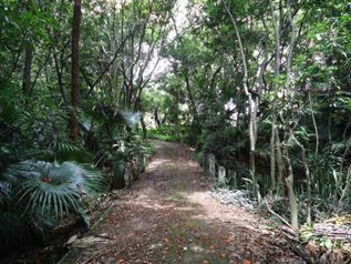 VENTA TERRENO DE DESARROLLO, SAN JOSE, ESCAZU, SAN RAFAEL in San Rafael, Escazú, San José — $11,000,000 - Photo 5 of 5