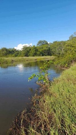 FINCA DE 63 HECTÁREAS EN OSA, CIUDAD CORTÉS, PUNTARENAS, COSTA RICA. en Puerto Cortés, Osa, Puntarenas — ₡ 252 000 000
