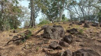 Venta de Lote en Bagaces, Guanacaste. RAH 25-1769 in La Fortuna, Bagaces, Guanacaste — 14 000 000 ₡ - Photo 5 of 6