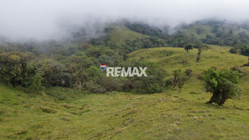 Venta de Terreno para Desarrollo en San Ramón | 56 Ha en Ángeles, San Ramón, Alajuela — 564 000 000 ₡ - Foto 2 de 22