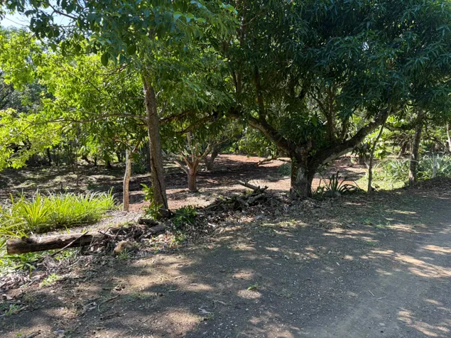 Quinta Segura en Zona Tamarindo (Altos de Pinilla) in Tamarindo, Santa Cruz, Guanacaste — $95,000 - Photo 2 of 6