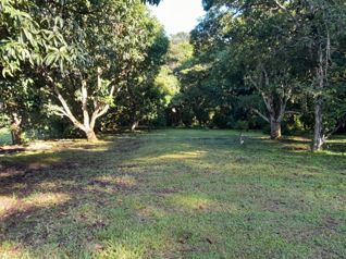 PARCELA EN VENTA EN GUACALILLO | 3.863 M² | P659 en Jacó, Garabito, Puntarenas — 90 000 000 ₡ - Foto 5 de 8