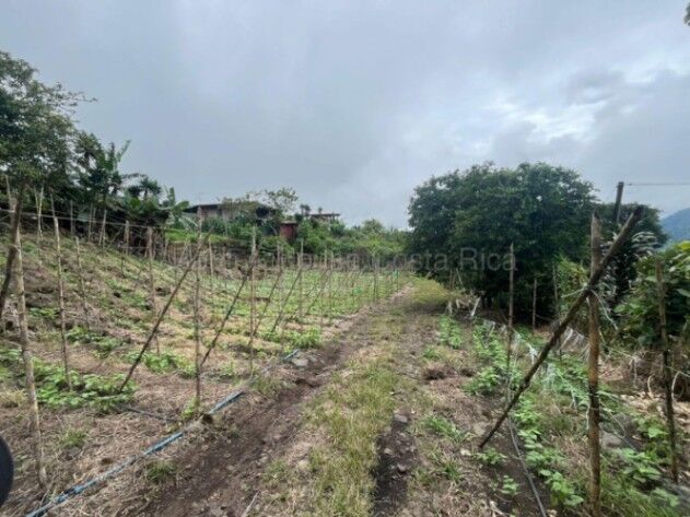 Venta de Lote en Paraíso-Santiago, Cervantes de Cartago. RAH 26-1709 en Paraíso, Cartago — ₡ 50 000 000