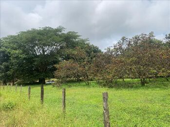 Lote en Venta Labrador, San Mateo, Alajuela