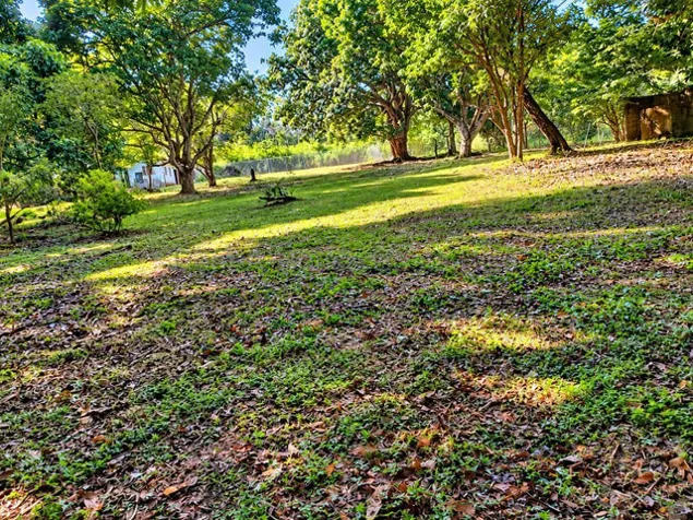 Venta de Lote en Lagunillas, Puntarenas. RAH 27-1002 OPORTUNIDAD DE INVERSIÓN en Biolley, Buenos Aires, Puntarenas — ₡ 95 000 000 - Foto 3 de 8