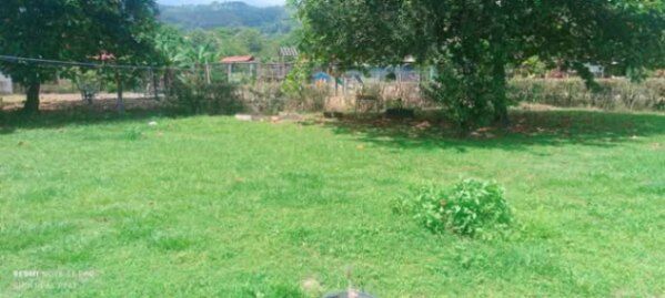 SE VENDEN 5 BELLOS LOTES EN PALMARES NORTE, ZONA SUR.  en Puntarenas — ₡ 6 000 000