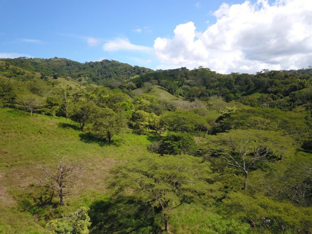 Hermosa finca ubicada en una comunidad rural, alejada del ruido pero cercana a servicios y playas. in Zapotal, Nandayure, Guanacaste — ₡ 131 600 000