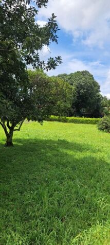 PRECIOSO LOTE ESPECIAL PARA QUINTA O COMERCIO in Orotina, Alajuela — ₡ 54 000 000