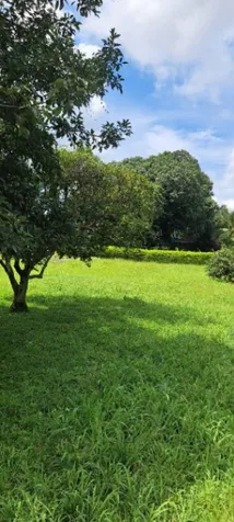 PRECIOSO LOTE ESPECIAL PARA QUINTA O COMERCIO in Orotina, Alajuela — ₡ 54 000 000 - Photo 2 of 3