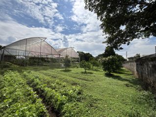VENTA DE LOTE 11.612,37 m², SAN RAFAEL ARRIBA, DESAMPARADOS en San Rafael Arriba, Desamparados, San José — $5,994,465 - Foto 5 de 19