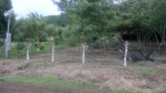 Venta de Lote en Montes de Oro, Puntarenas. RAH 26-249 in Miramar, Montes De Oro, Puntarenas — $76,000