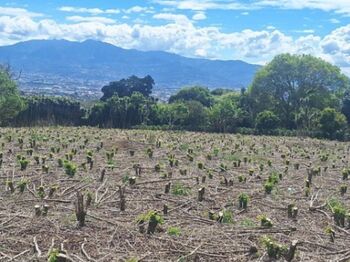 Venta de Lote en Barva-San Pablo-Heredia. RAH 26-1343 PRECIO REBAJADO in San Pablo, Barva, Heredia — 142 000 000 ₡ - Photo 4 of 6