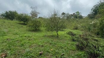 Venta de 2 Lotes en Jimenéz, Cartago.  en Pejibaye, Jiménez, Cartago — 24 000 000 ₡ - Foto 4 de 20