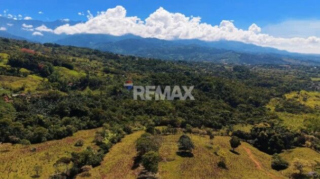 FINCA DE 28.7 HA PARA DESARROLLO Y AGRICULTURA EN MORAZÁN, PÉREZ ZELEDÓN CON NACIENTE PROPIA en Daniel Flores, Pérez Zeledón, San José — $750,000