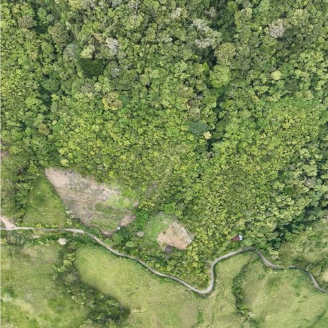 VENTA DE LOTE DE 12 HECTÁREAS, TUCURRIQUE, CARTAGO en Tucurrique, Jiménez, Cartago — $150,000