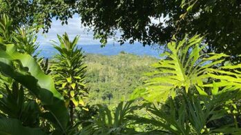 Venta de Lote con Cabaña en Turrialba, Cartago. RAH 25-1184 in Peralta, Turrialba, Cartago — $350,000 - Photo 4 of 10