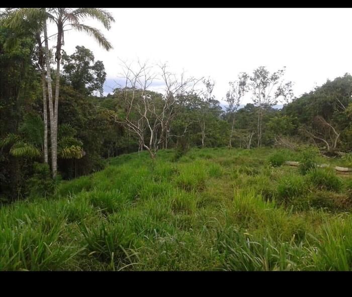 LOT FOR SALE, QUIZARRA, PEREZ ZELEDON en Cajón, Pérez Zeledón, San José — $60,000
