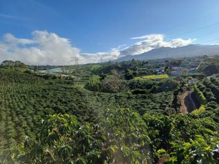 Lote en Venta, Uso Residencial, Clima de Montaña, 5PJG10035484 in San Jerónimo, Moravia, San José — $2,790,360 - Photo 5 of 25