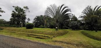 Venta de Quinta en Guácimo-Limón. RAH 27-81 en Guácimo, Limón — 50 000 000 ₡ - Foto 5 de 17