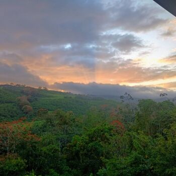 Viva y disfrute...el paraíso en la ciudad  en Santa Rosa, Turrialba, Cartago — 250 000 000 ₡ - Foto 4 de 9