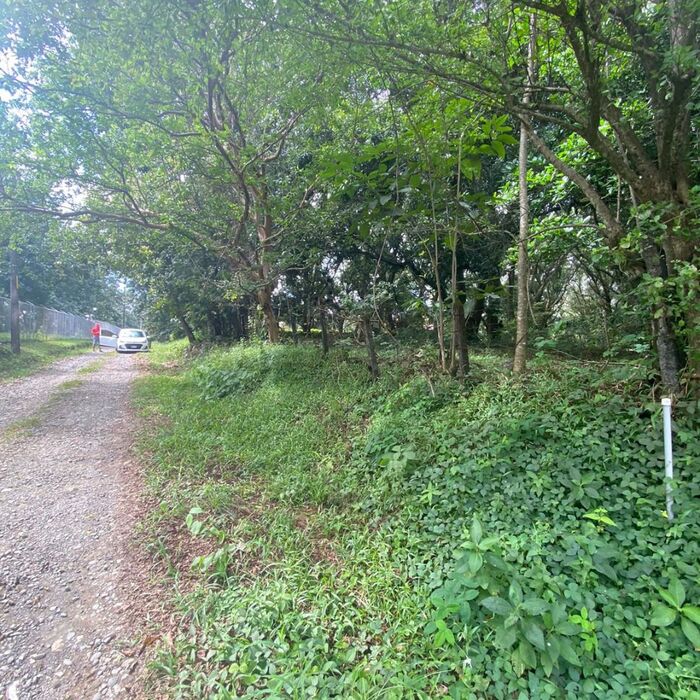 VENTA DE LOTE,  USO MIXTO, ALAJUELA, OROTINA, HACIENDA VIEJA en Hacienda Vieja, Orotina, Alajuela — $275,000