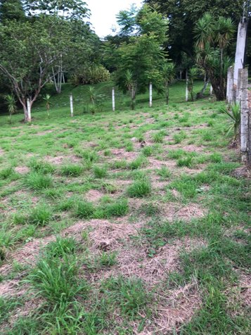 Venta de lote # 2 en Rio Grande, Atenas in Atenas, Alajuela — ₡ 25 000 000 - Photo 3 of 3