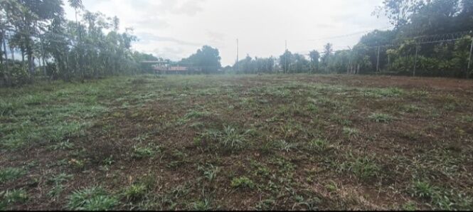SE VENDE BELLÍSIMA PROPIEDAD EN DANIEL FLORES, PÉREZ ZELEDÓN.  in Daniel Flores, Pérez Zeledón, San José — ₡ 85 000 000