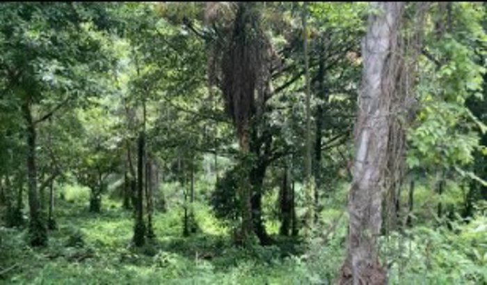 Terreno en Venta – Quintas Casa de Campo, Orotina in Orotina, Alajuela — $70,000