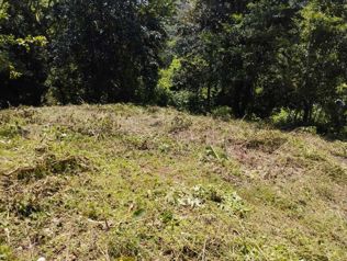 Venta de Quinta en Esparza-Espíritu Santo, Puntarenas. RAH 26-374 en Espíritu Santo, Esparza, Puntarenas — 52 000 000 ₡ - Foto 3 de 13
