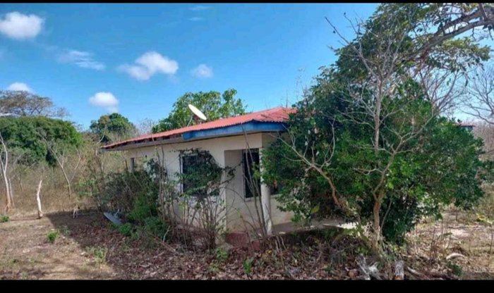 VENTA TERRENO EN LA CRUZ GUANACASTE SOBRE RUTA INTERMERICANA en La Cruz, Guanacaste — $250,000 - Foto 3 de 11