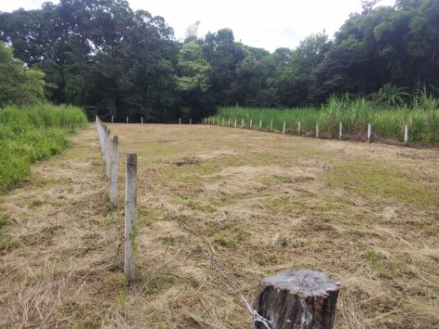 SE VENDE BELLA Y CÉNTRICA PROPIEDAD EN ATENAS.  en Atenas, Alajuela — ₡ 136 000 000