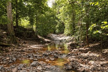 782 ha Finca - Camaronal, Santa Marta de Hojancha en Nosara, Nicoya, Guanacaste — $10,000,000 - Foto 4 de 15