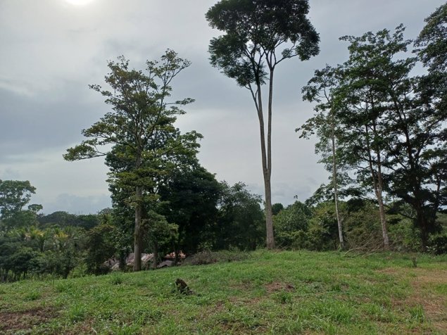 VENTA DE LOTE USO DE SUELO MIXTO, HEREDIA, SARAPIQUI, HORQUETAS en Puerto Viejo, Sarapiquí, Heredia — ₡ 40 000 000