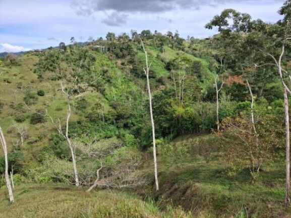 Venta de Lote en Turrialba-Cartago. RAH 26-1276 en La Suiza, Turrialba, Cartago — $80,000