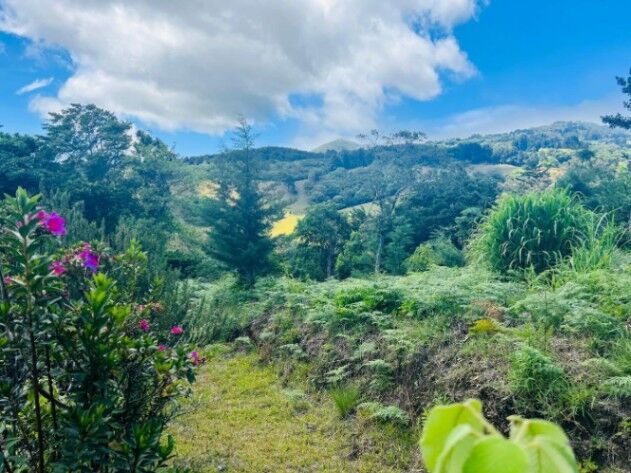 Venta de lote de 12779 m2 en San Jose de la Montaña Barva Heredia en San José de La Montaña, Barva, Heredia — $230,000