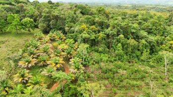 Finca en Venta Cajón, Pérez Zeledón, San José