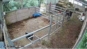 SE VENDE BELLEZA DE FINCA Y CASA CORONADO.  en San Isidro, Vázquez de Coronado, San José — 180 000 000 ₡ - Foto 5 de 12