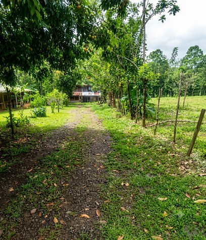 VENTA - Finca de 2.1 Ha con 2 Casas - La Naranjeña- Guatuso - EN SERVIDUMBRE in Katira, Guatuso, Alajuela — ₡ 65 000 000