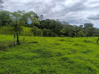 Hermosa Finca en San Ramón de La Virgen de Sarapiquí in La Virgen, Sarapiquí, Heredia — 90 000 000 ₡ - Photo 5 of 12