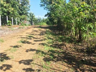 Terreno para Quinta en La Ceiba 7100m2 en La Ceiba, Orotina, Alajuela — $215,000 - Foto 5 de 6
