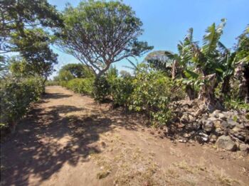 Se vende lote en Santo Domingo Heredia 25-438 en Tures, Santo Domingo, Heredia — 100 000 000 ₡ - Foto 5 de 21