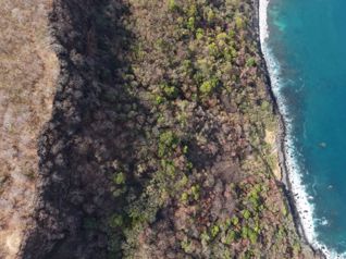 Venta de enorme lote de 97 hectáreas en Nacascolo en Nacascolo, Liberia, Guanacaste — $8,000,000 - Foto 4 de 17