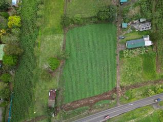 Terreno comercial en La Fortuna | 5.000 m² sobre corredor vial
