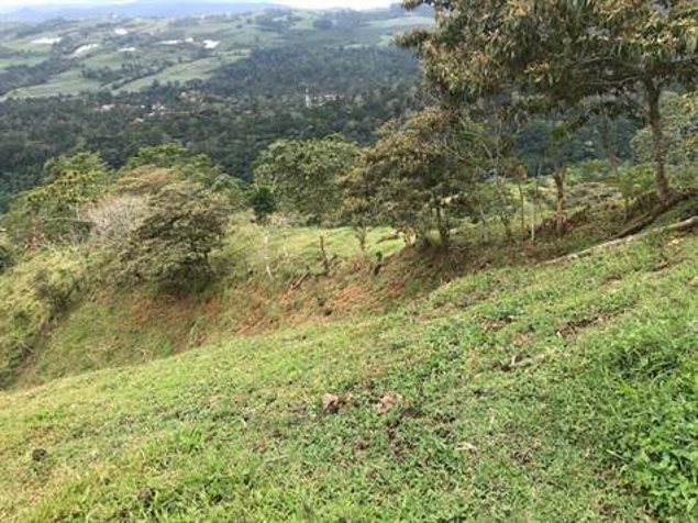 Finca de 20,974 con vistas de Cartago en Atenas, Alajuela — $142,000 - Foto 3 de 5