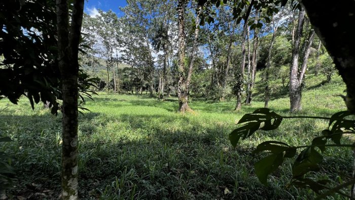 VENTA DE LOTE RESIDENCIAL Y TURISTICO EN SAN FRANCISCO DE RIVAS, PEREZ ZELEDON en Rivas, Pérez Zeledón, San José — $160,000